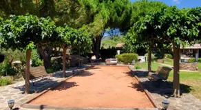 Entre les pins et les oliviers - Image 5