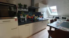 Ferienwohnung-Thale-Ritter - Image 4