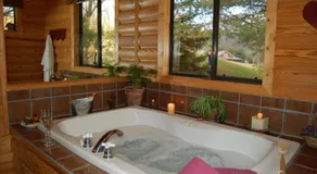 Mountain Springs Cabins - Image 4