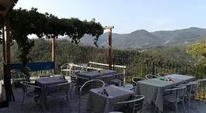 I Gelsi e i Castagni - Image 3