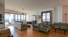 Blue Horizon APT - Image 3