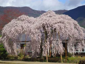 Ryokan Otaya - Image 2