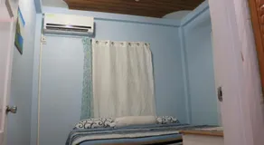 Ocean Views and Hospitable Hosts - Image 4