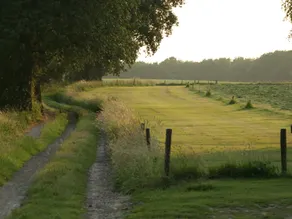Chalet in Netherlands with Private Garden - Image 5