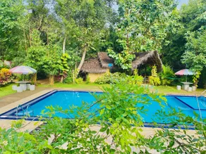 Woodland Sanctuary  - Image 3