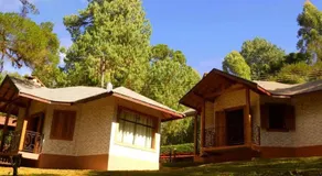 Chalés Montanha Serrana - Monte Verde - Image 3