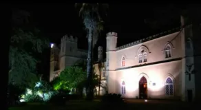 Quartos de Vidigueira - Image 3