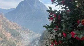 Pachamama Homestay - Image 5