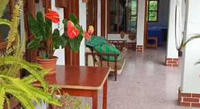 Hostal Mario's Rooms - Image 5