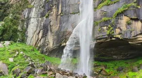Wander Nest Manali Luxurious rooms with mountain and river view - Image 4