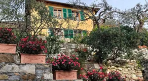 L'Alcova tra gli ulivi - Image 5