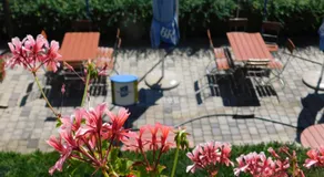 Hotel Hecht Garni - Image 4