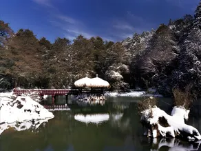 Alishan Shermuh Hotel - Image 3