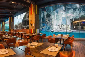 Chimelong Penguin Hotel - Image 3