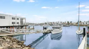 Swainson on Gulf Point - Image 5
