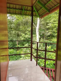 Tree House - Image 5