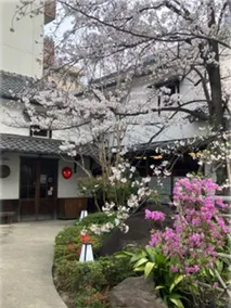 Hotel Ivory - Image 3