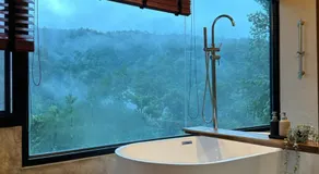 Hi Land Forest View - Image 2