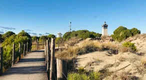 La Salicorne - Image 4