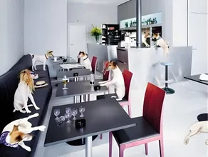 Hotel Limmatblick - Image 4