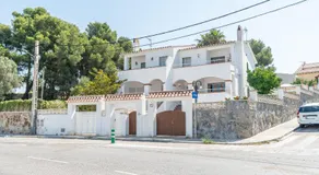 Can Montardo - Image 4