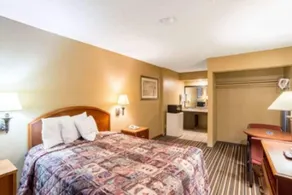 Wildcat Inn - Image 4