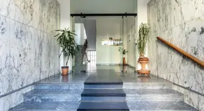 Little's Venaria - Image 3