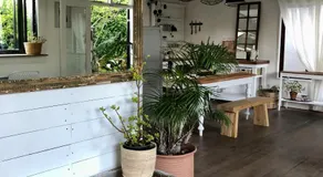 Urban Plett - Image 4