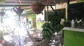 Soursop Hostel - Image 4