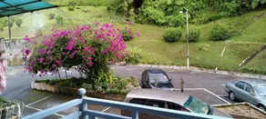Aleeya Homestay(Muslim Only) Desa Anthurium - Image 5