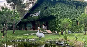 H&A Guest House - Image 3