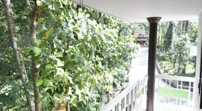 Pepper Nut Homestay - Image 2