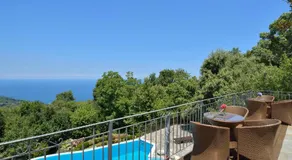 Aroma Piliou - Άρωμα Πηλίου - Image 3