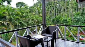 Jungle Greens Homestay - 150Y Old Coffee Estate, Home Food, Jungle Safari - Image 2