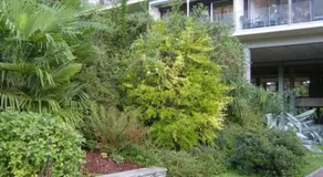 Voll ausgestattete geräumige Wohnung mit privatem Pool und Sauna | Naturblick | Hunde erlaubt - Image 4