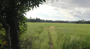Nerayath Nest Homestay - Image 5