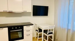 Modernes 1 Zimmer Appartement direkt am Wörthsee - Image 4