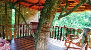 Tree House-Midigama - Image 3