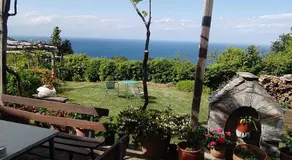 ΕΙΡΗΝΗ - Image 4