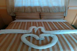 The Coconut Palm Hotel - Image 2