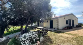 La Striscia Larga - Image 2