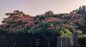 La Suite Soleil - Image 5