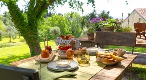Premignaga Natural Home - Image 4