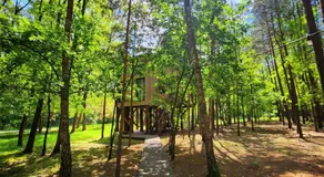 Tree Houses Olszanka - Image 5