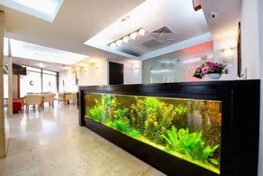 Duke Armeneasca Suites by Olala! - Image 3