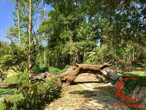 Capitol Village Resort - Image 5