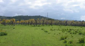 Il Canto di Kokopelli Country Houses - Image 4