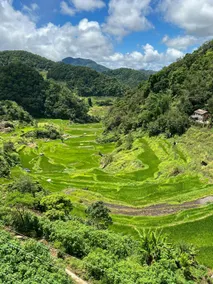 Banaue Greenfield Inn and Restaurant - Image 3