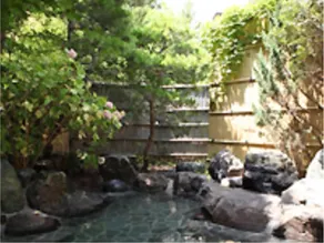 Sasaya Hotel - Image 3
