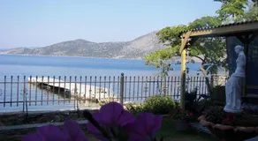 Blue Dreams - Image 5